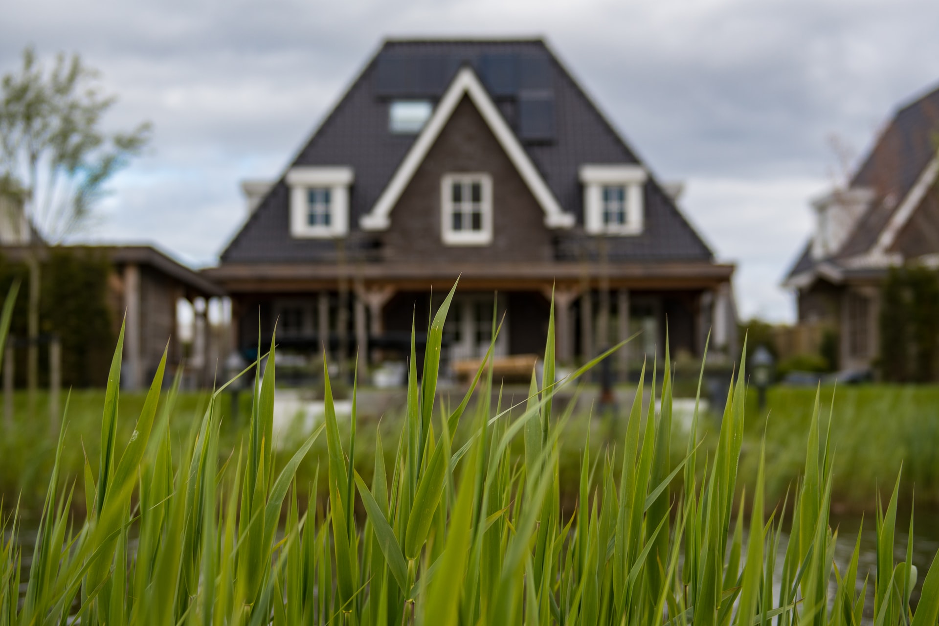 gras voor huis